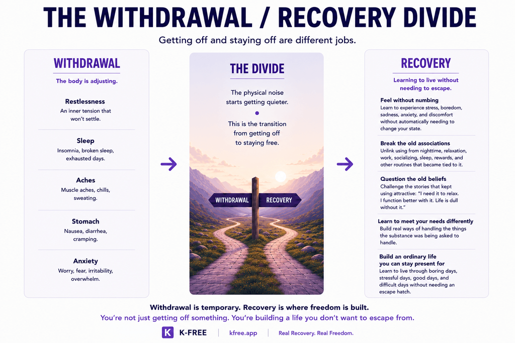 The K-Free Withdrawal / Recovery Divide: withdrawal is the process of getting off. Recovery is the work of learning to live without needing to return.
